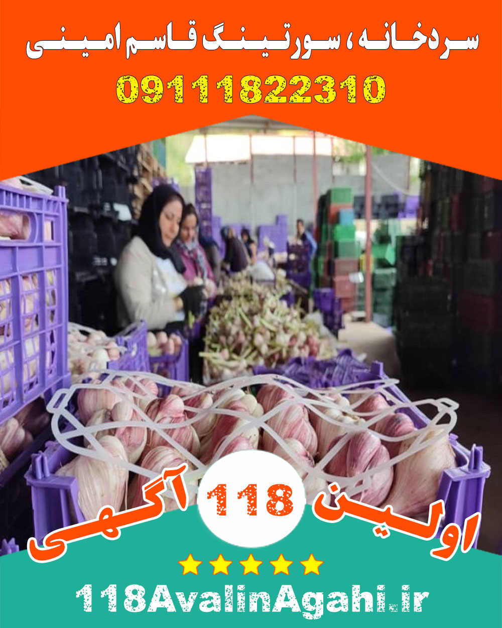 سردخانه صنعتی سورتینگ میوه قاسم امینی