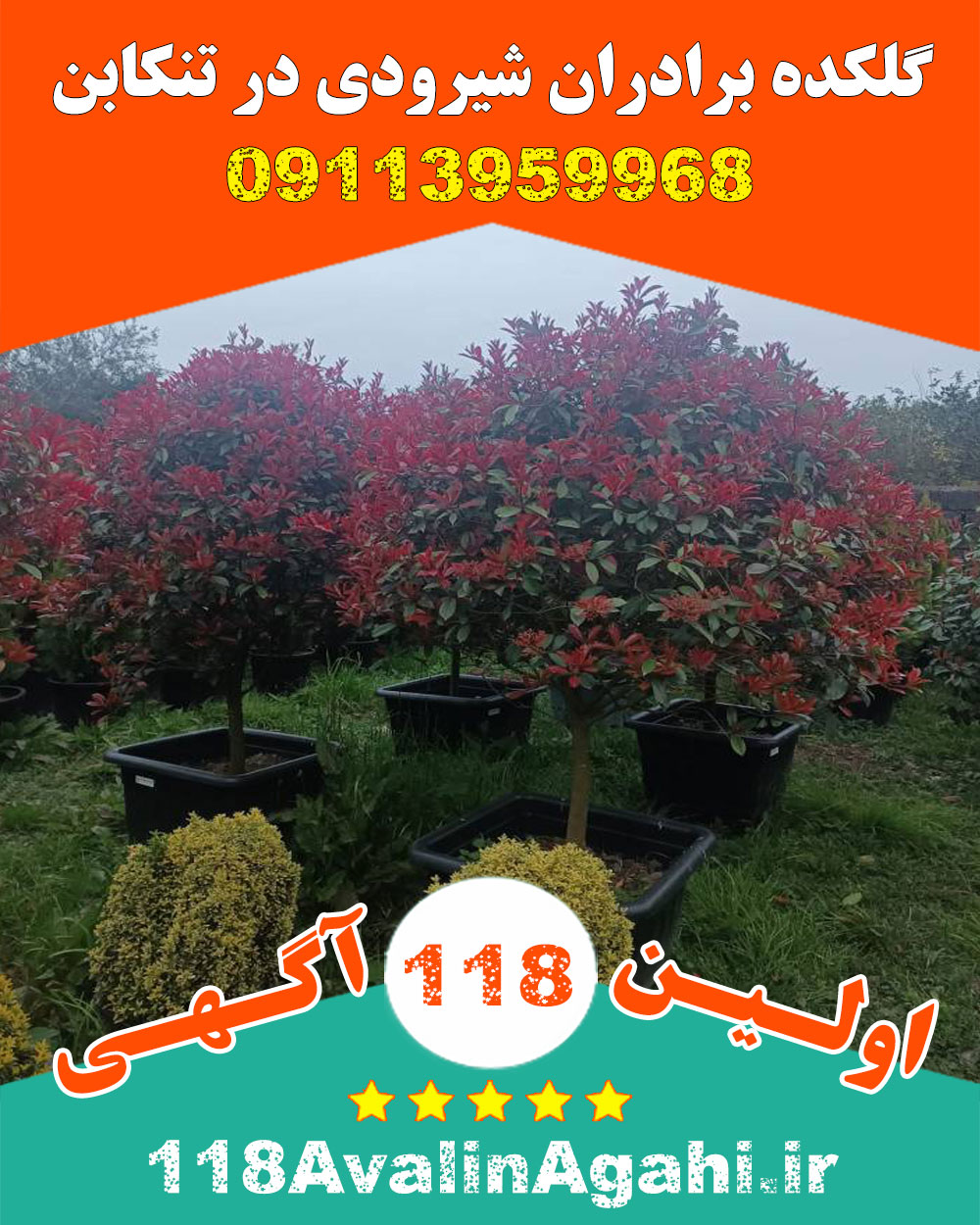 گلکده برادران شیرودی در تنکابن