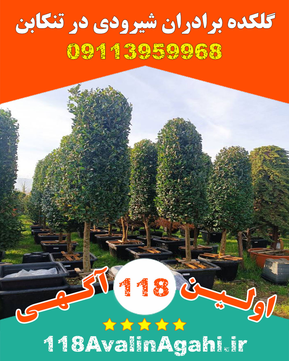 گلکده برادران شیرودی در تنکابن