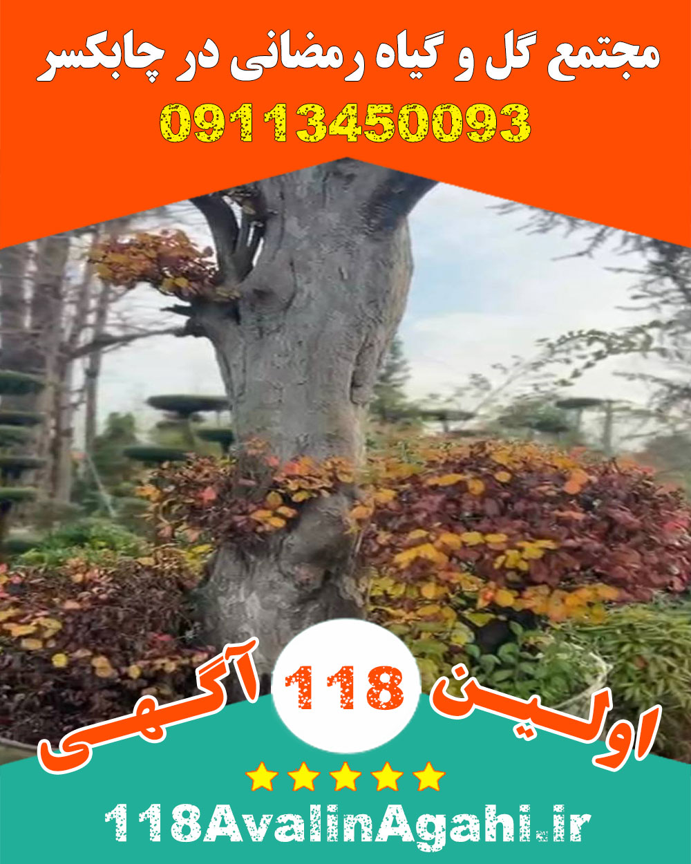 مجتمع گل و گیاه رمضانی در چابکسر