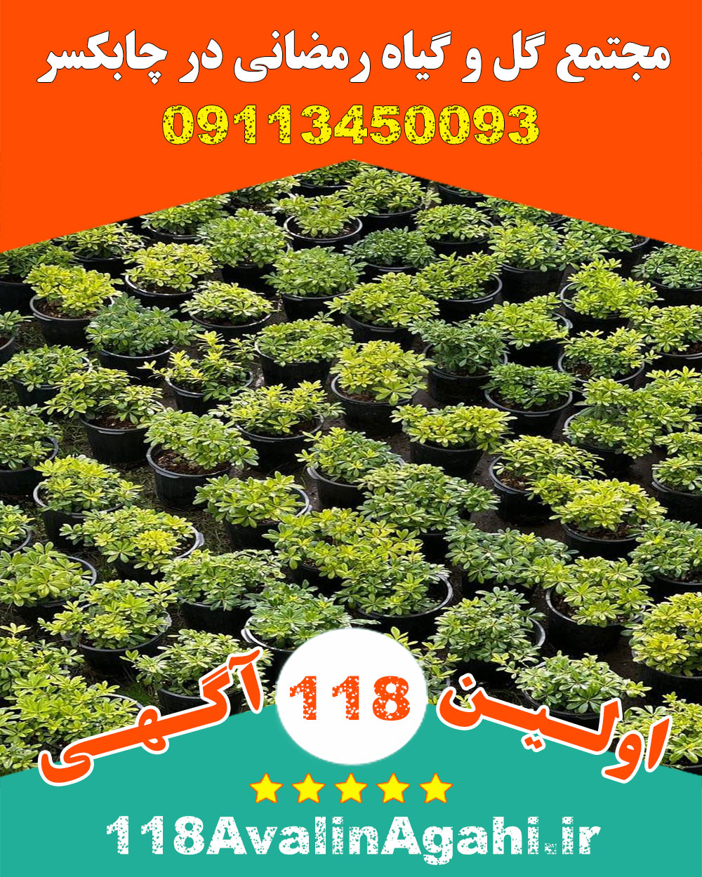مجتمع گل و گیاه رمضانی در چابکسر