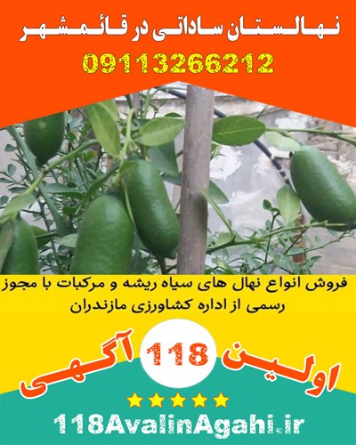 نـهـالـسـتـان سـاداتـی در قـائـمـشـهـر
