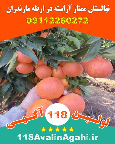 نـهـالـسـتـان مـمـتـاز آراسـتـه در ارطـه