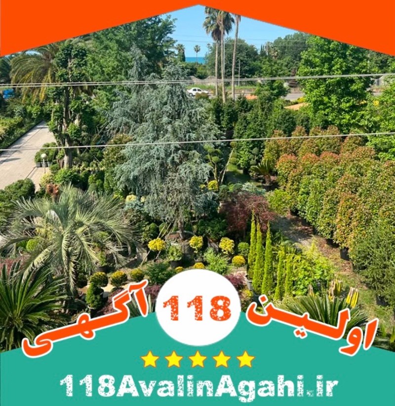 گل وگیاه رمضانی  متنوع ترین تولیدی درختچه های زینتی 09113450093