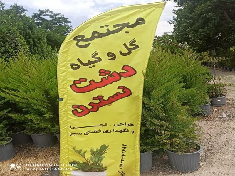 مجتمع گل و گیاه دشت نسترن در البرز
