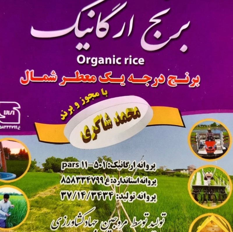کارخانه برنج شاکری در محمودآباد