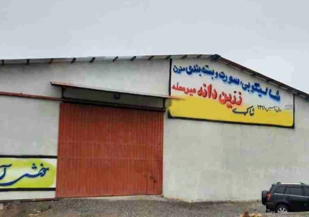 شالیکوبی و بسته بندی مدرن زرین دانه در گرگان