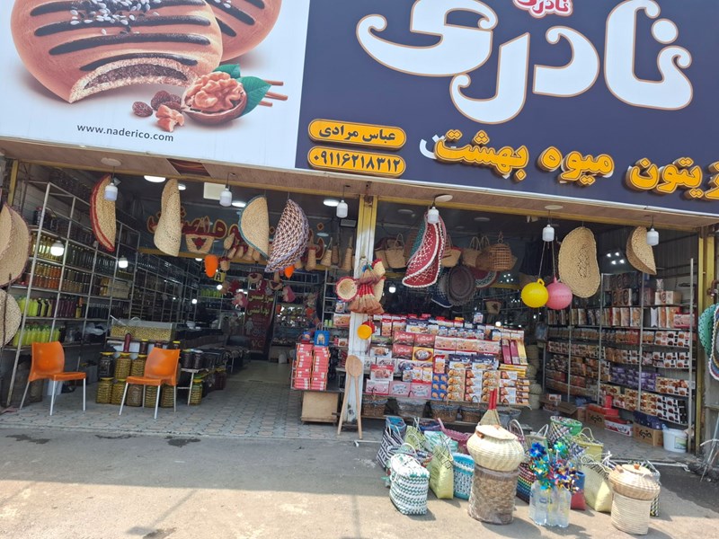 زیتون سرای میوه بهشت در گلسرک امامزاده هاشم