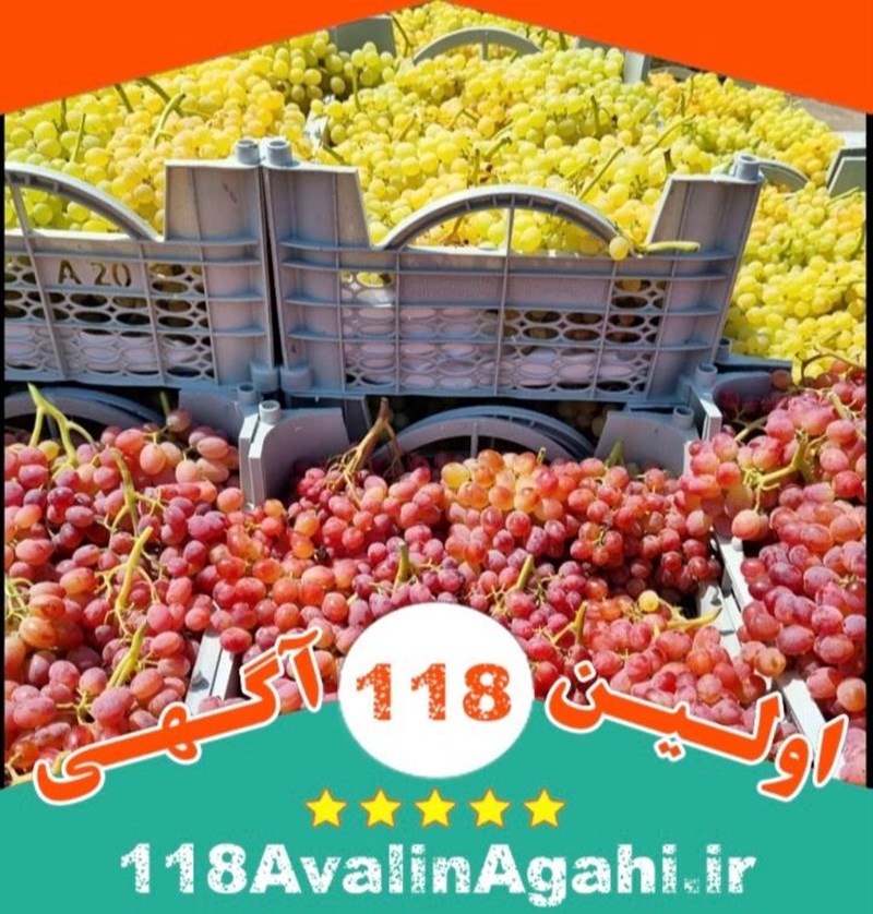 میوه و تره بار بهاالدین فتحی در سنندج09188810070