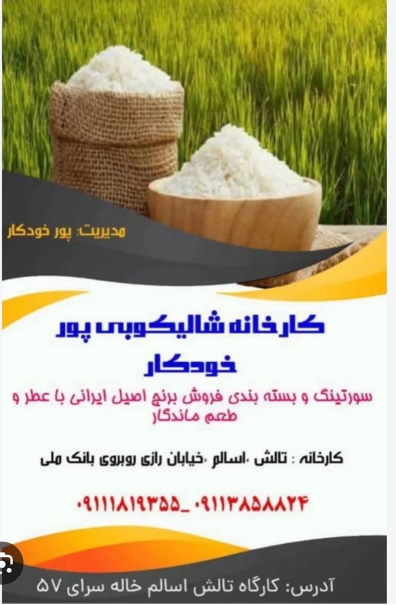 کارخانه شالیکوبی پور خودکار در تالش