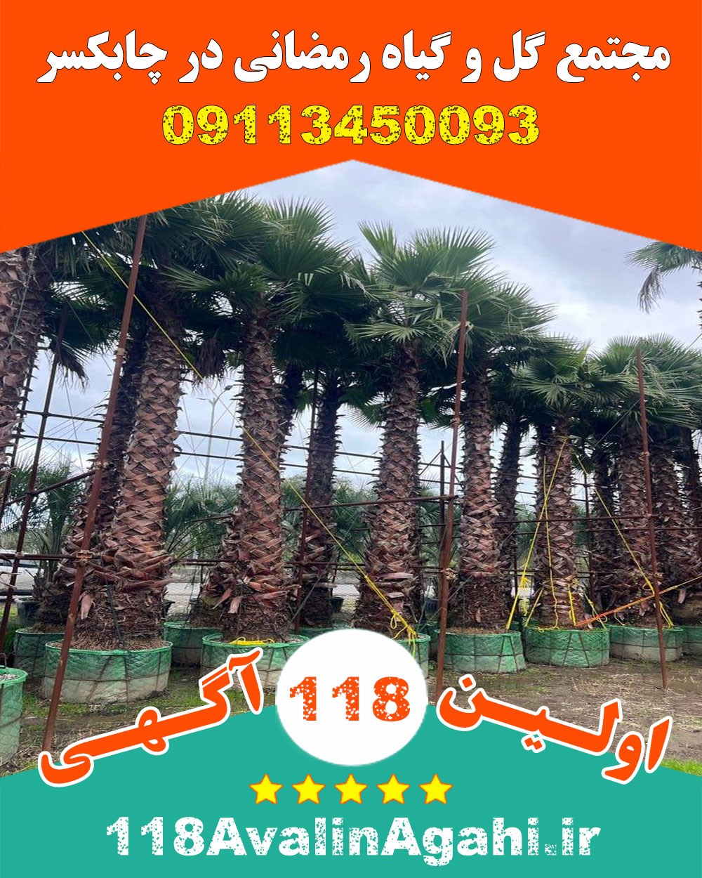 مجتمع گل و گیاه رمضانی در چابکسر 09113450093 بهترین قیمت