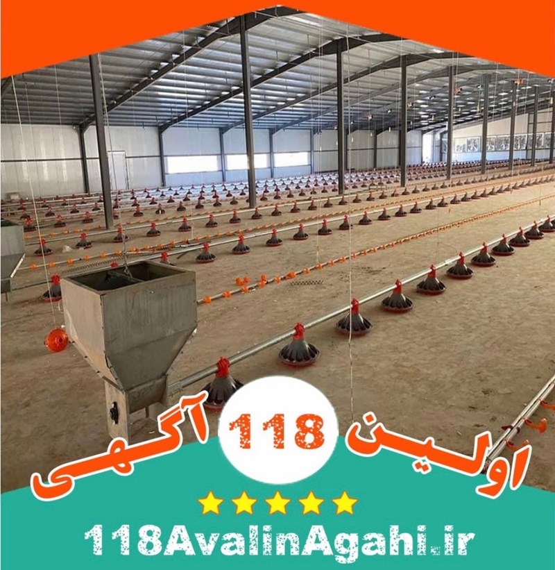 خرید و فروش تجهیزات مرغداری سعید در قزوین