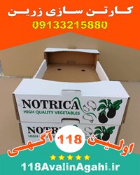 بهترین کارتن سازی اصفهان شهرضا