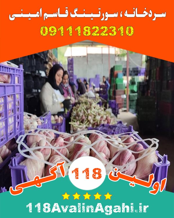 سردخانه سورتینگ میوه در تالش