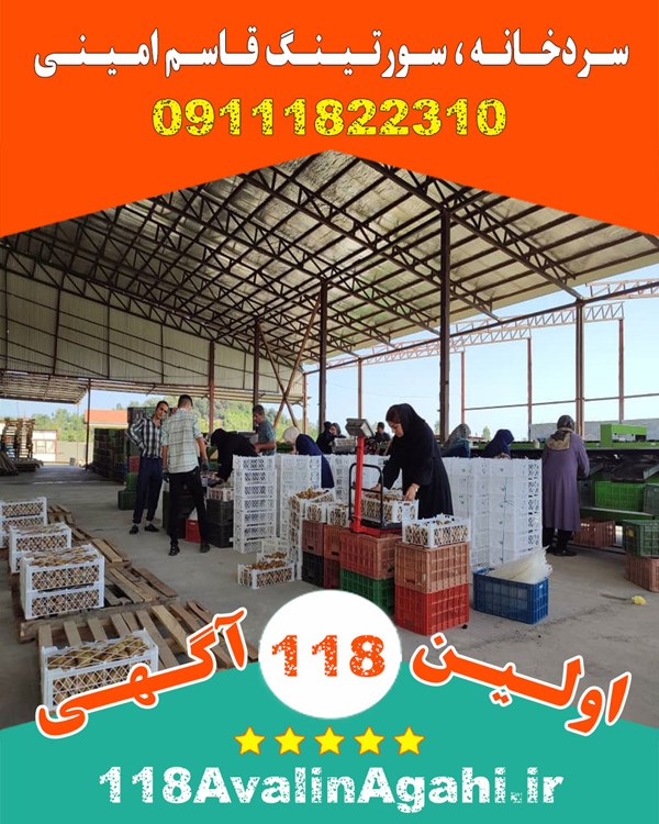 سردخانه سورتینگ میوه در تالش